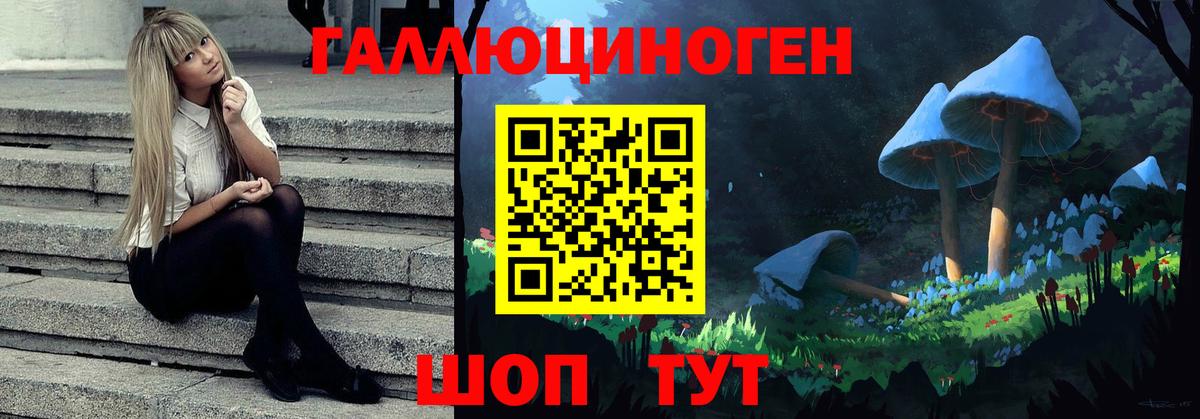 Вязники  Галлюциногенные грибы ЛСД  Псилоцибиновые грибы мухоморы  Вход с VPN 